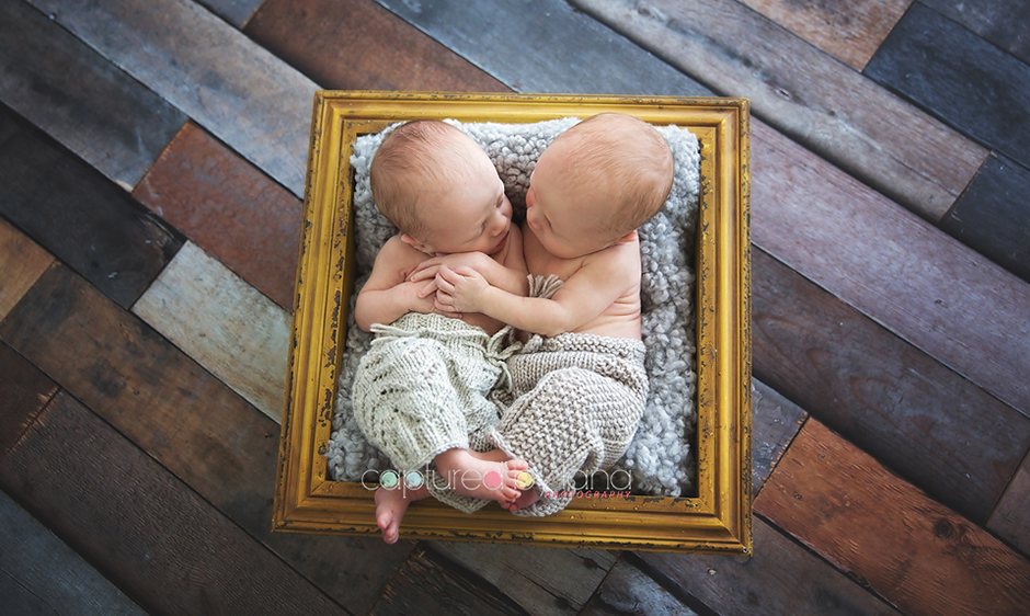 Beautiful twin boys Canberra Newborn Photographer